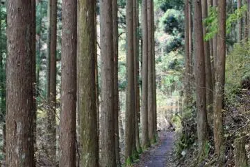 <p>Near the Kanon Mountain Hiking Trailhead</p>