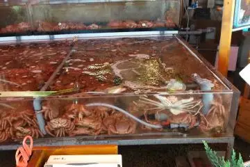 <p>Hakodate Fish Market</p>
