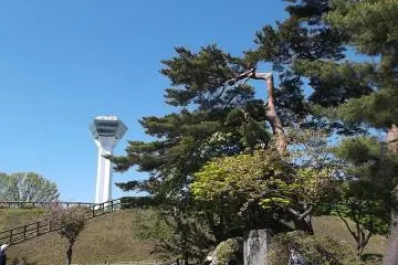 <p>Tower</p>
