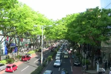 Omotesando-dori