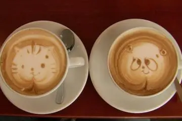 How DO they do that?