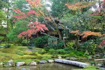 <p>Red maples hang over a stone bridge</p>