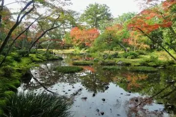 <p>One of the highlight's of the garden is the beautiful pond</p>