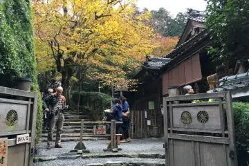 Gallery image