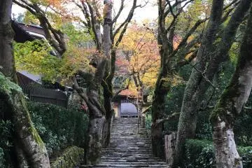 <p>Stairway leading up to the temple</p>