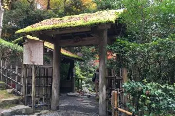 <p>Small resting place</p>