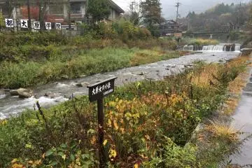 <p>The scenery was again gorgeous, luckily the rain was not too heavy when we left.</p>