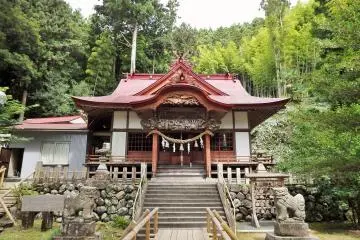 Gallery image