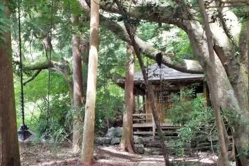 <p>There are a couple of smaller shrines within the compound. And, if you look to the left of this photo, some thick wire support for the trees.</p>
