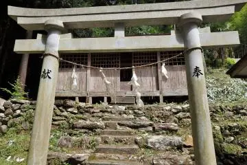 <p>The town of Otoyo is about 35 km from Kochi City. The trees are only 3 kilometers from the Otoyo Interchange on the Kochi Expressway. Or, 800 meters from Osugi Station.</p>