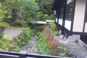 Blending in with the surrounding nature