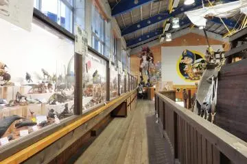 <p>The museum is open from 10am to 6pm, from March through October, and is open until 5pm from November through February.</p>