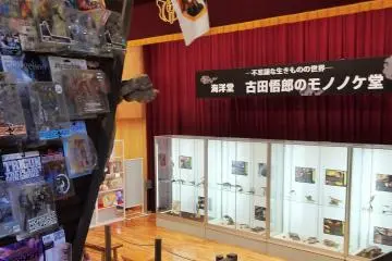 Gallery image
