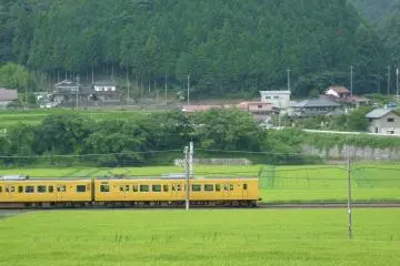 the colors of Nichinan town countryside
