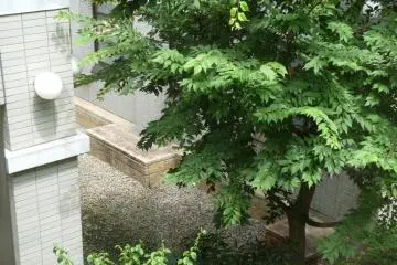 courtyard at the museum