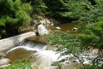 you can't escape the stunning river shots