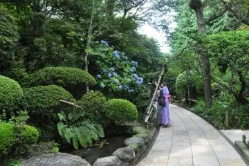 Hokoku-ji Temple, Kamakura