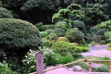 Landscaping behind the main temple building