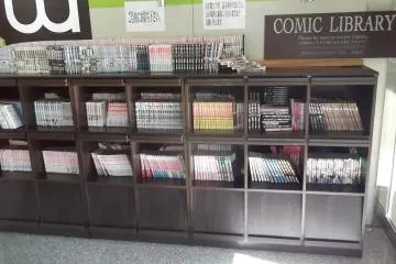 Gallery image