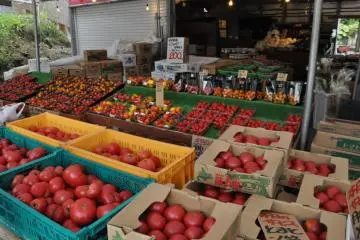 A Niseko farmer's market