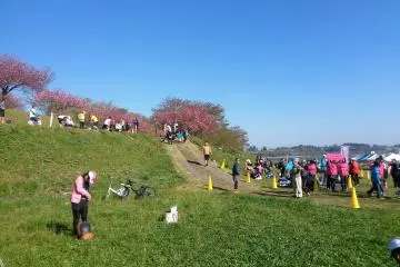 <p>This was the final stretch of the half marathon</p>