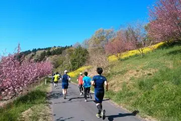 <p>Flowers everywhere!</p>