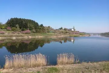 <p>Such a lovely spring day for a run</p>