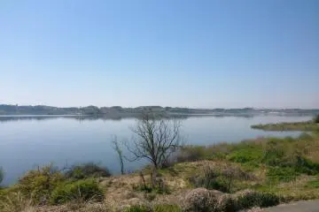 <p>Another nice view along the running path</p>
