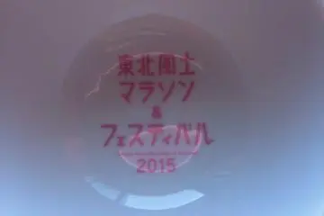 <p>I received this for finishing the race. &nbsp;</p>