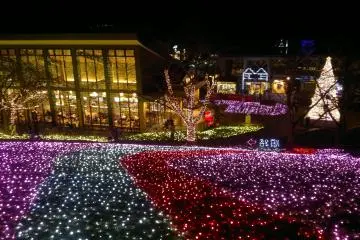 <p>리조트 윗쪽에서 바라 본 마법같은 풍경</p>