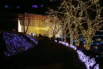 <p>"빛의 나이아가라"로 가는 길</p>