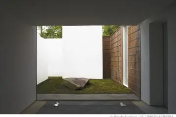 <p>Looking out onto a peaceful small garden</p>
