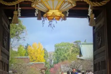 Gallery image