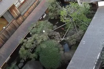 <p>Looking down at Asakura's garden</p>