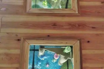 <p>Kappa are even 'hiding' in the floors of the museum. &nbsp;</p>