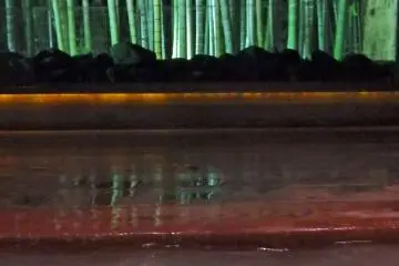 <p>The gorgeous view of a lit-up bamboo forest from the Kaguya bath.</p>