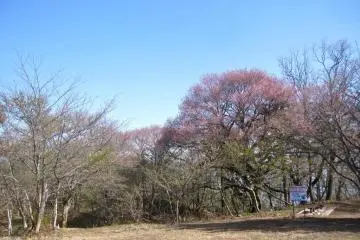 The summit open space