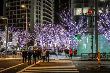 <p>Even from a distance it's impossible not to miss this colorful spectacle</p>

