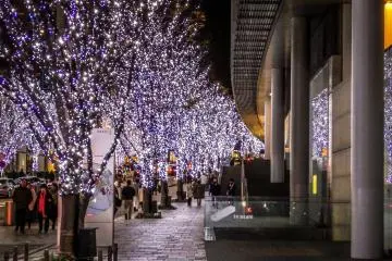 <p>Lining Roppongi's main boulevard this display makes an ideal addition to the cold winter evenings</p>

<p></p>
