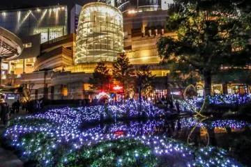 <p>This colorful display continues within the'Mori' Garden and Plaza 66&nbsp;</p>

