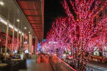 <p>Walking back along Keyazaki Street&nbsp;</p>
