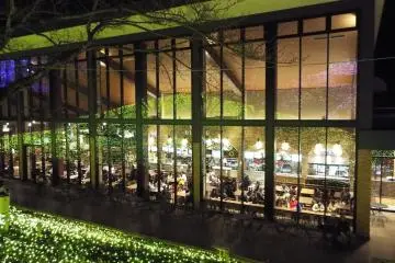 <p>Wild Dining Restauran</p>

