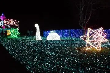 <p>Nessie Lak</p>

