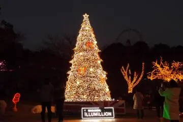 <p>Christmas Tre</p>
