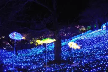 <p>Sea of Ight</p>
