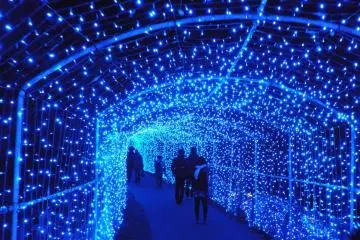 <p>Tunnel of ight</p>
