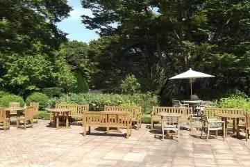 <p>Treehouse Cafe memiliki meja-meja luar ruang yang menyenangkan.</p>
