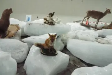 ภายในร้านสินค้าที่ระลึกของ Ice Museum ที่แหลมโซยะ
