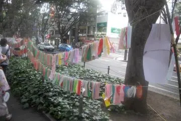 A rack of tanzaku written by spectators on Jozen-ji Dori in downtown Sendai