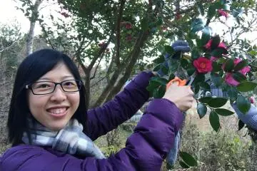 <p>This is for theHerbal Water Making workshop. I spotted this wild Camellia &nbsp;tree along the way and snipped some flowers to add some sweet scent to our water.</p>
